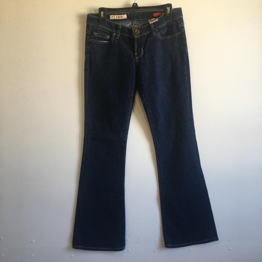 Express X2 Slim W10 Low Rise Flare Leg Jean size 6